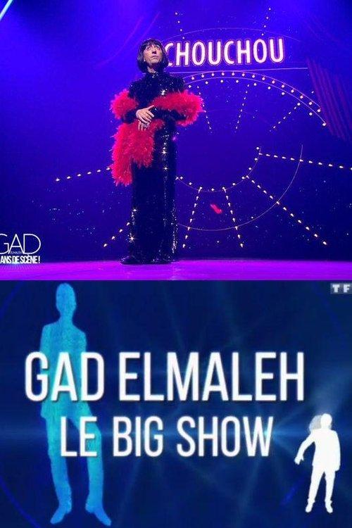 Gad Elmaleh - Le Big Show 2015 official movie poster