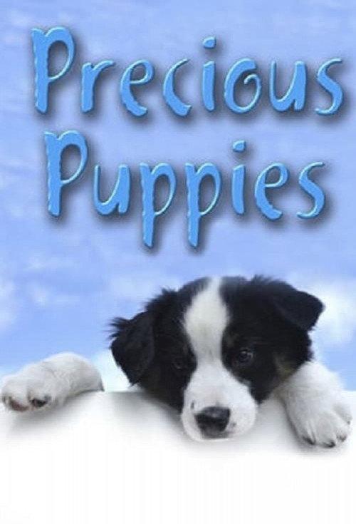 Precious Puppies 2003 official movie poster
