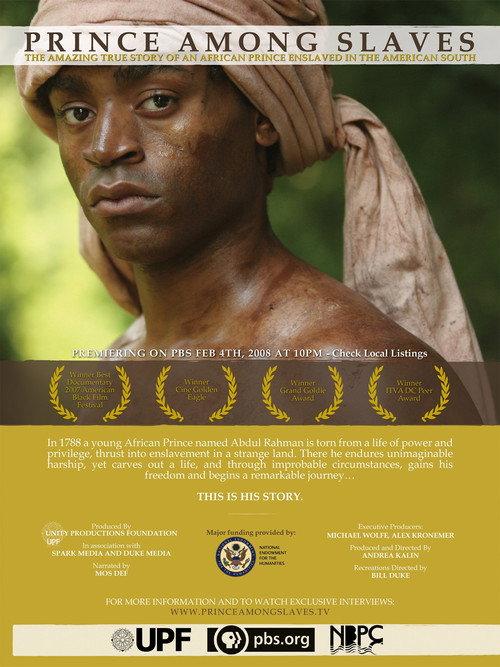 Prince Among Slaves 2008 official movie poster