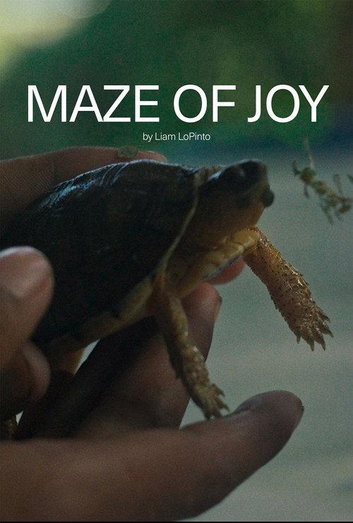 Maze of Joy 2025 official movie poster