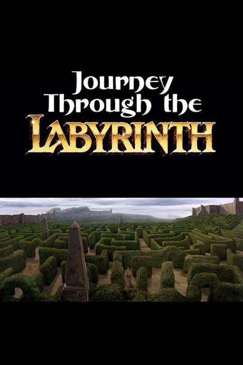 Journey Through the Labyrinth 2007 official movie poster