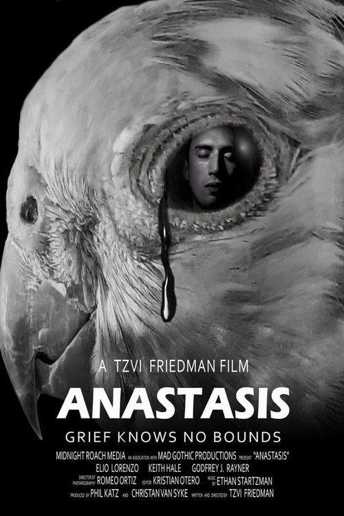 Anastasis 2020 official movie poster