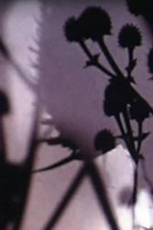 The Lights & Perfections 2006 official movie poster