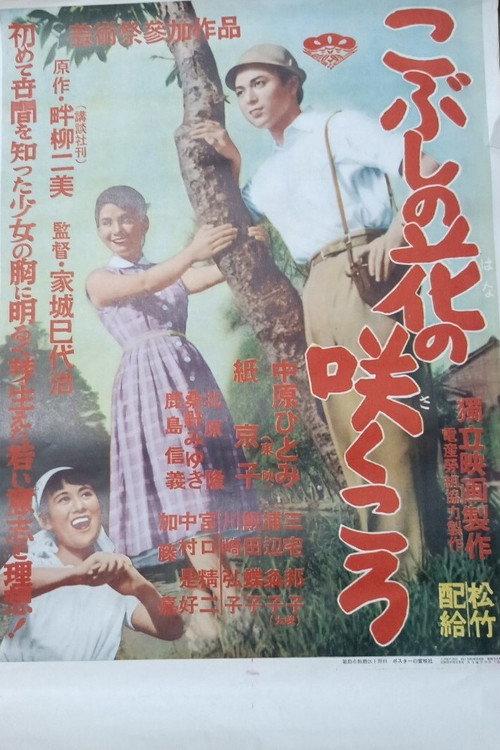 Kobushi no hana no sakukoro 1956 official movie poster