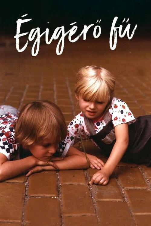 That Lovely Green Grass 1979 official movie poster