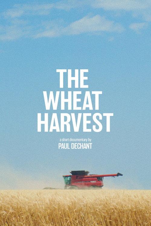 The Wheat Harvest 2023 official movie poster