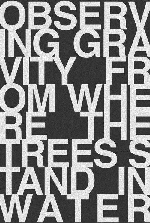 Observing Gravity From Where The Trees Stand In Water 2019 official movie poster