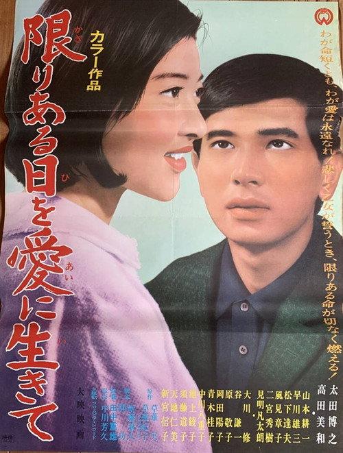 The Suitors 1967 official movie poster