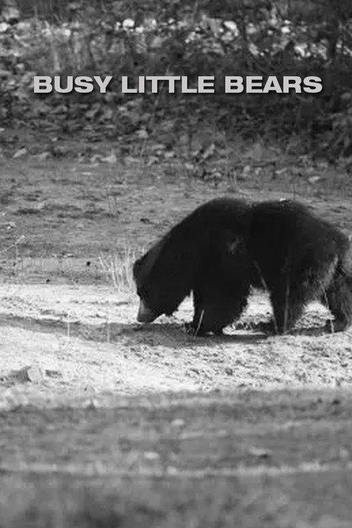Busy Little Bears 1939 official movie poster