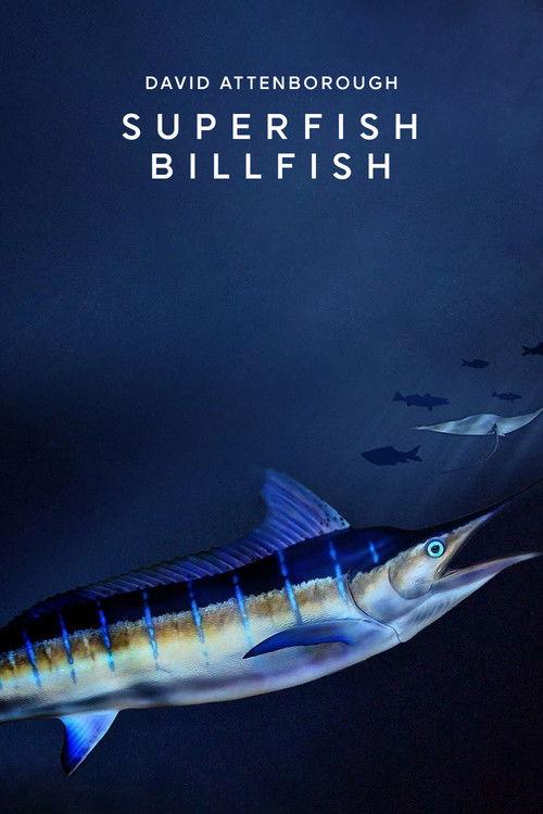 Superfish 2008 official movie poster