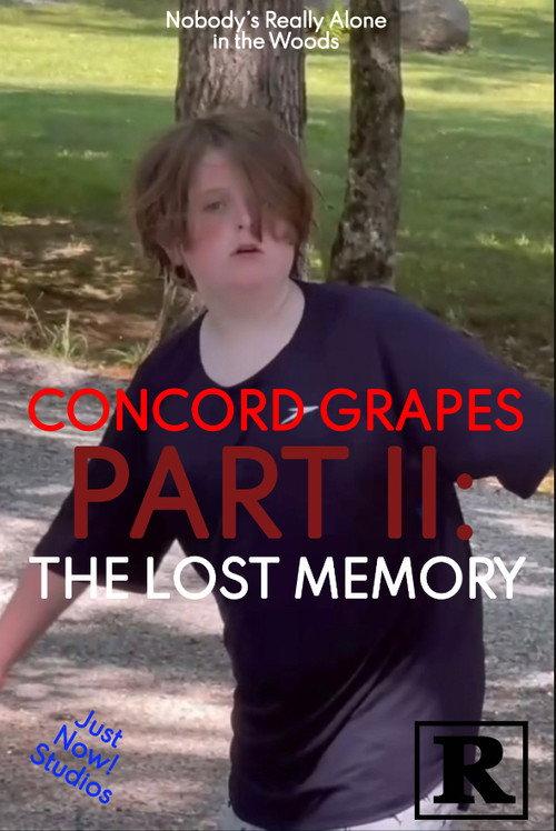 Concord Grapes Part II: The Lost Memory 2024 official movie poster