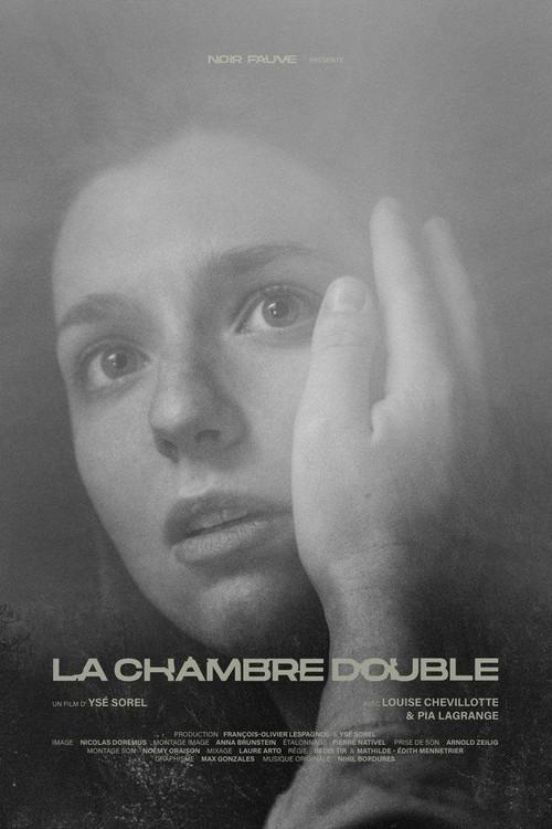 Double Room 2022 official movie poster