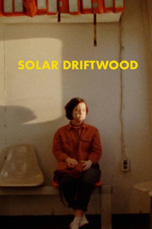Solar Driftwood 2020 official movie poster