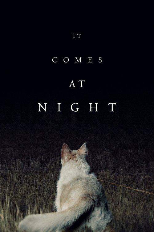 It Comes at Night 2017 official movie poster