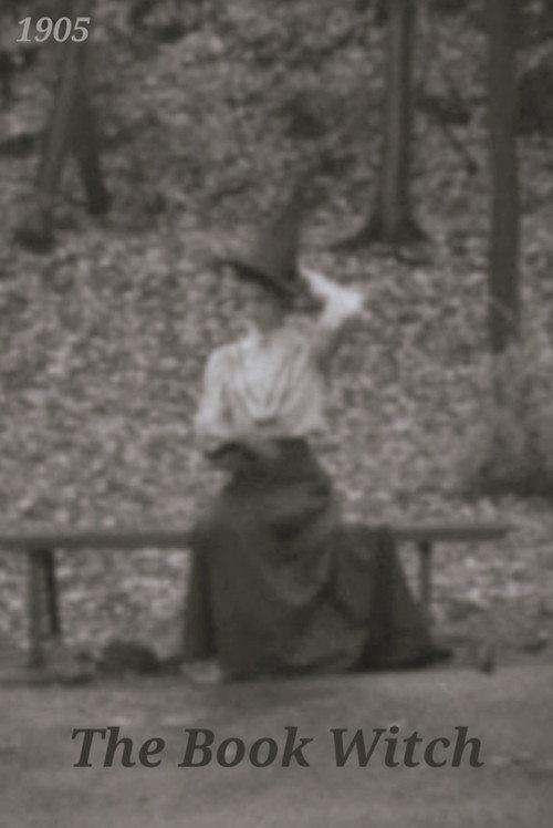 The Book Witch (1905) Silent Film 2018 official movie poster