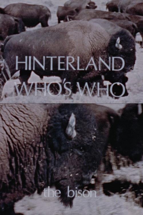 Hinterland Who's Who: The Bison 1973 official movie poster