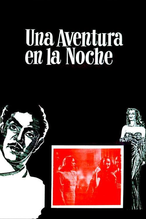 An Adventure in the Night 1948 official movie poster