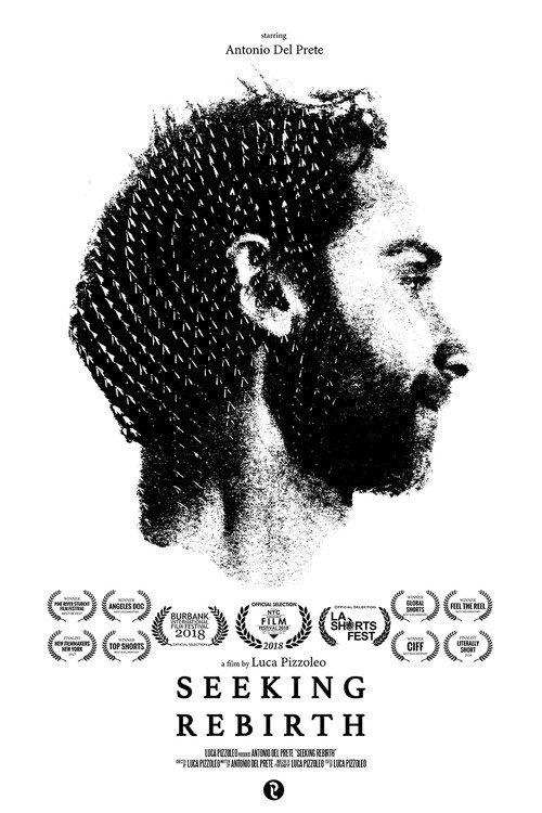 Seeking Rebirth 2017 official movie poster