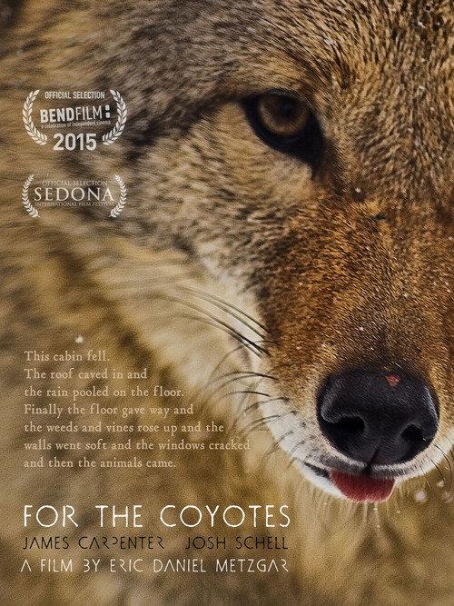 For the Coyotes 2015 official movie poster