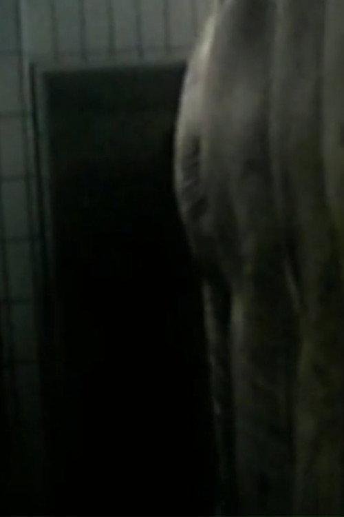 Opus Hominis 2 1996 official movie poster