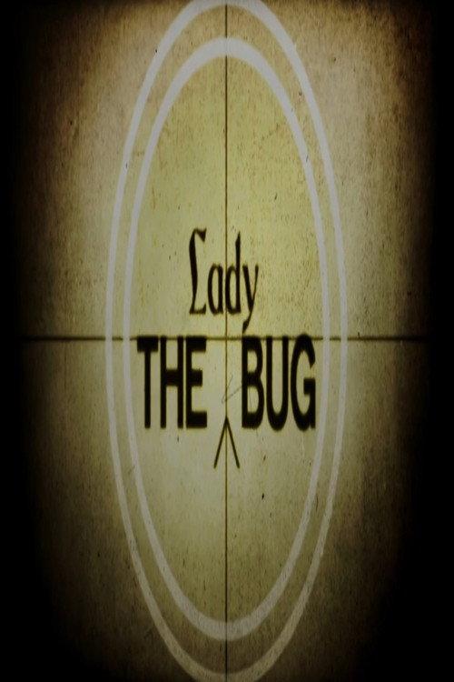 The Lady Bug 2007 official movie poster