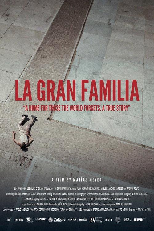The Great Family 2026 official movie poster