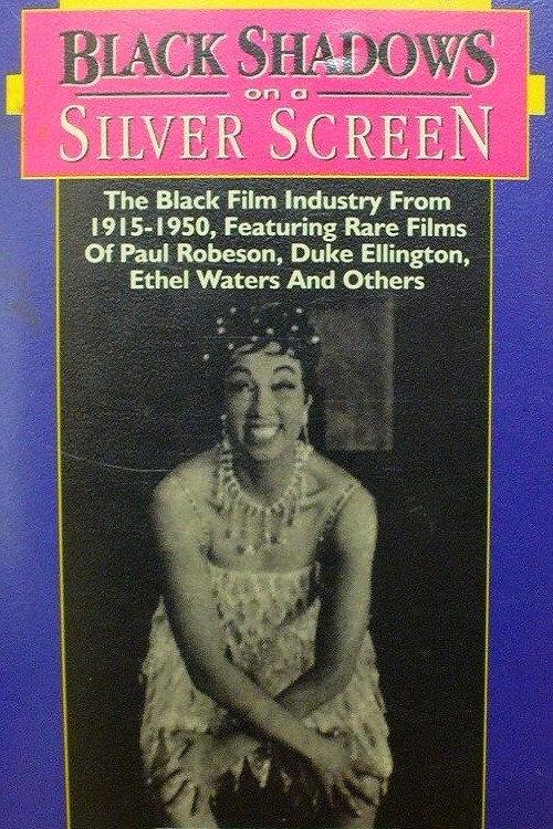 Black Shadows on a Silver Screen 1975 official movie poster