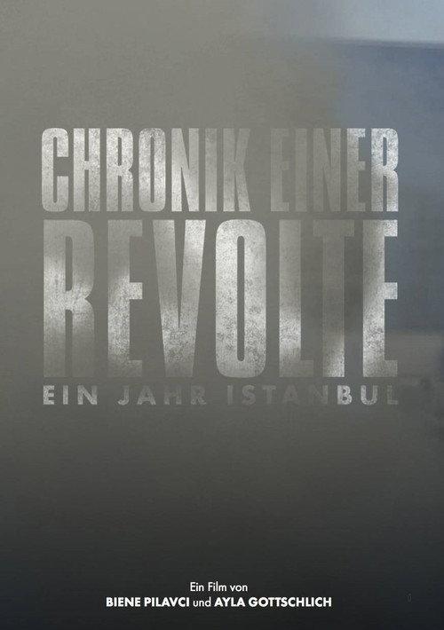 Chronicle of a Revolt: One Year Istanbul 2015 official movie poster