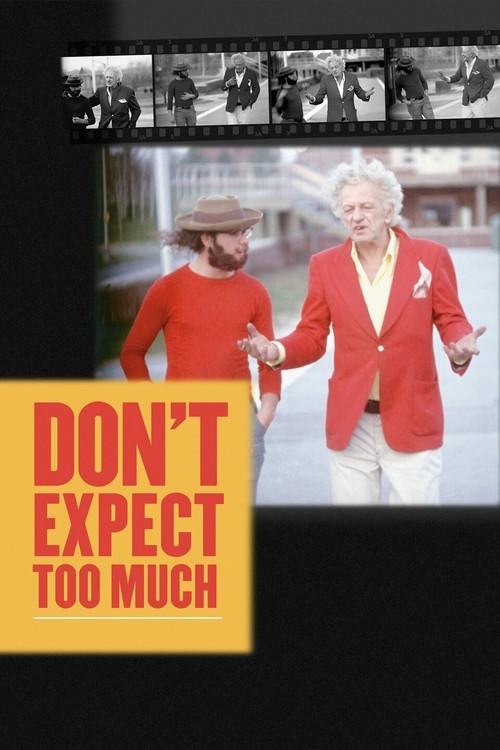 Don't Expect Too Much 2011 official movie poster