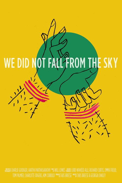 We Did Not Fall from the Sky 2018 official movie poster