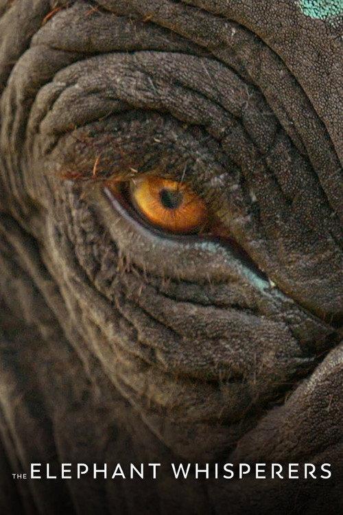The Elephant Whisperers 2022 official movie poster