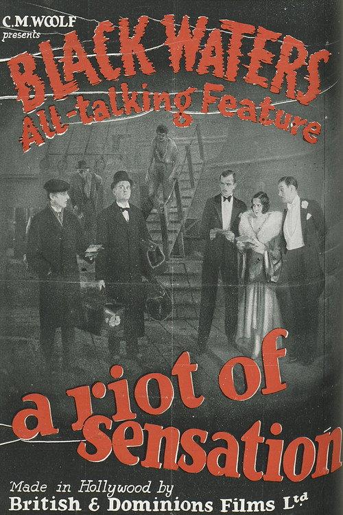 Black Waters 1929 official movie poster