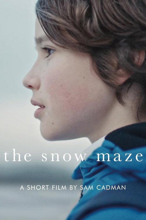 The Snow Maze 2020 official movie poster