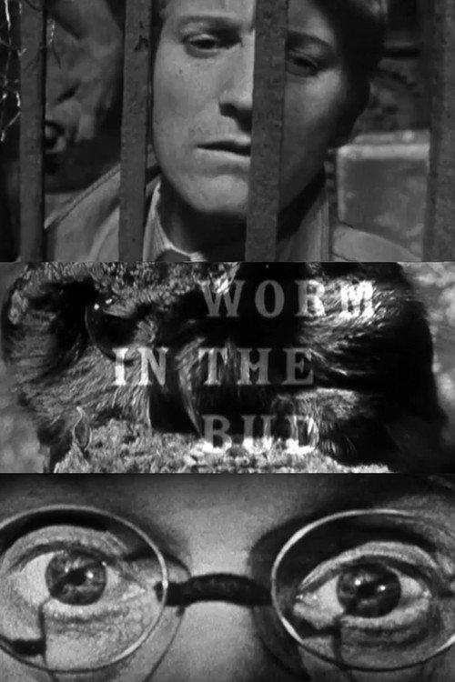 Worm in the Bud 1959 official movie poster