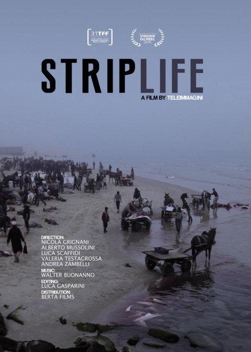 Striplife 2014 official movie poster
