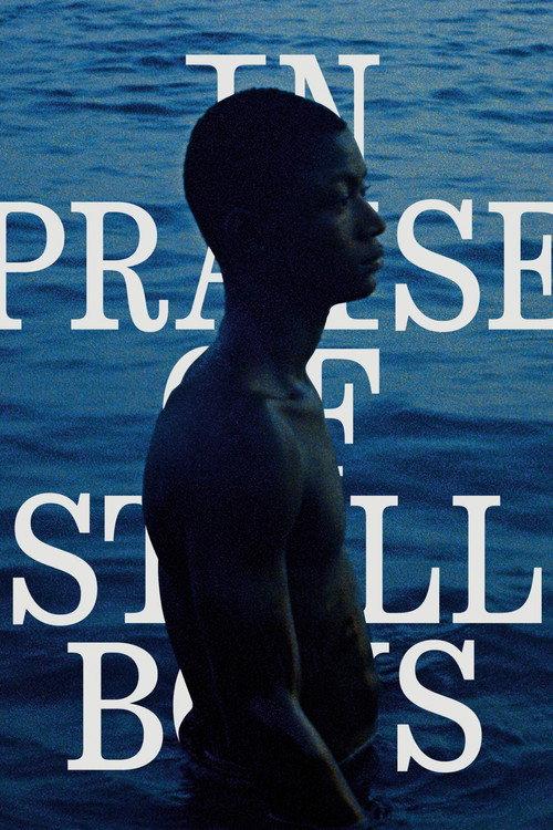 In Praise of Still Boys 2020 official movie poster