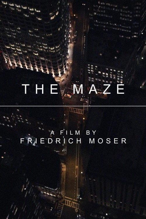 The Maze 2017 official movie poster
