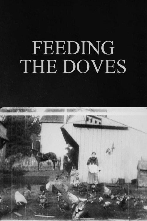 Feeding the Doves 1896 official movie poster