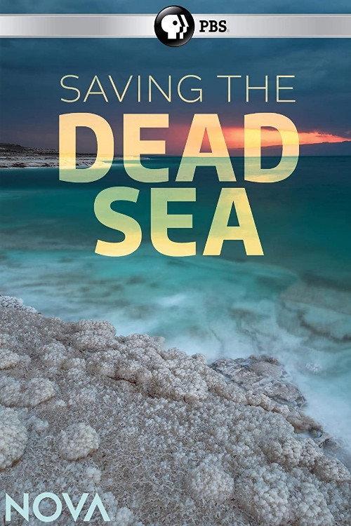 Saving the Dead Sea 2019 official movie poster