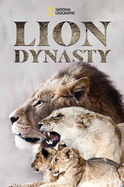 Lion Dynasty 2021 official movie poster