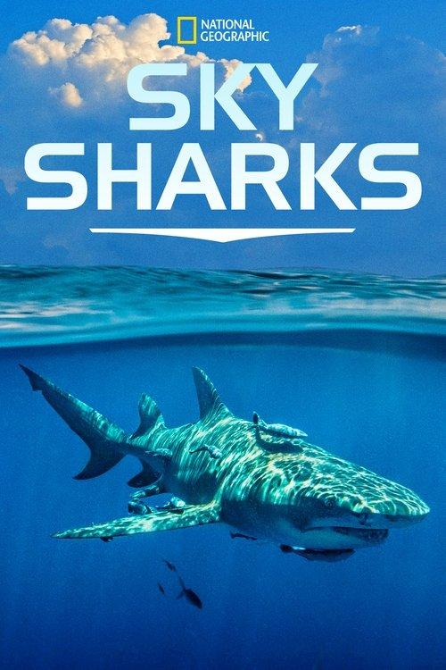 Sky Sharks 2022 official movie poster