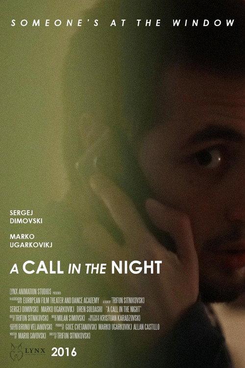 A Call in the Night 2016 official movie poster
