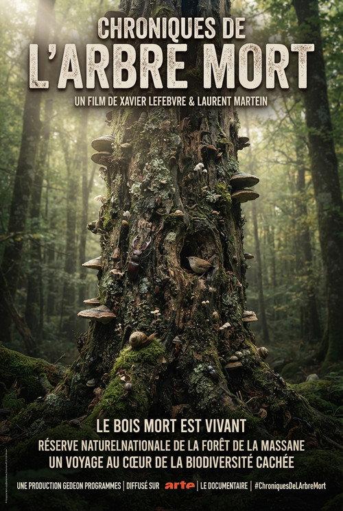 Chroniques de l'arbre mort 2026 official movie poster