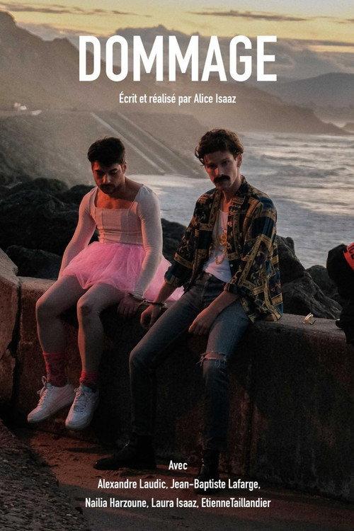 Dommage 2023 official movie poster