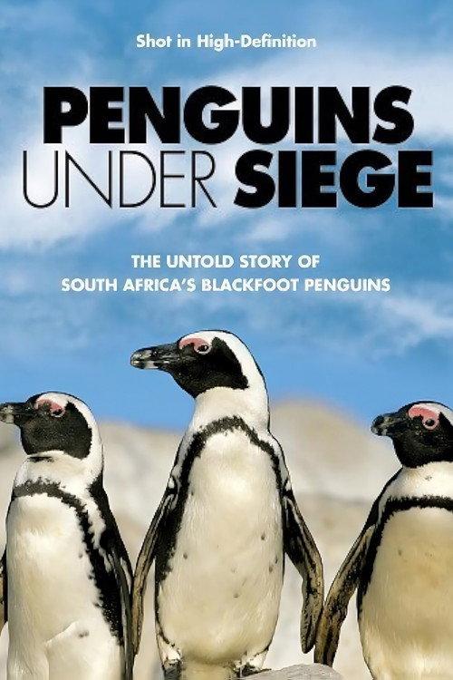Penguins Under Siege 2004 official movie poster