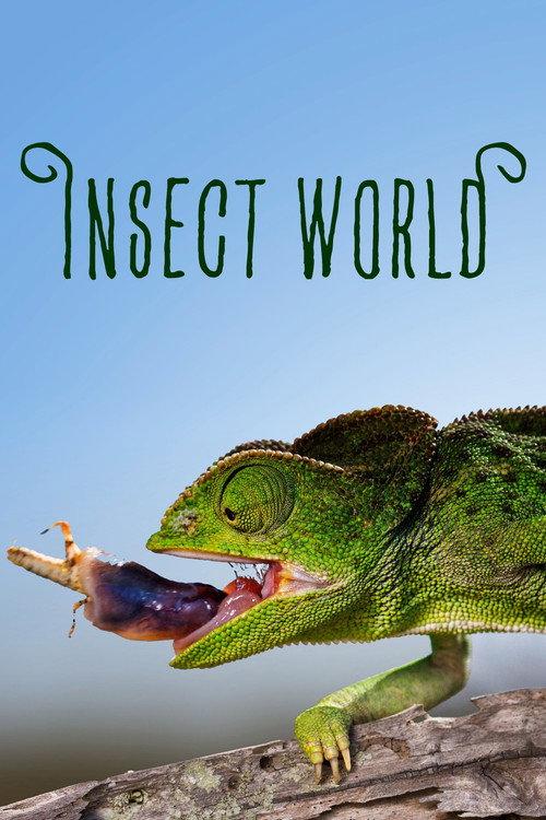 Insect World 2017 official movie poster