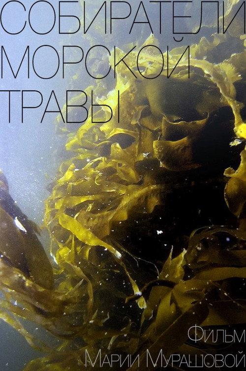 Gatherers of Sea Grass 2016 official movie poster