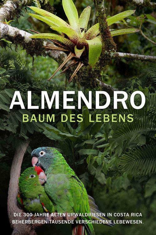 ALMENDRO - BAUM DES LEBENS 2003 official movie poster
