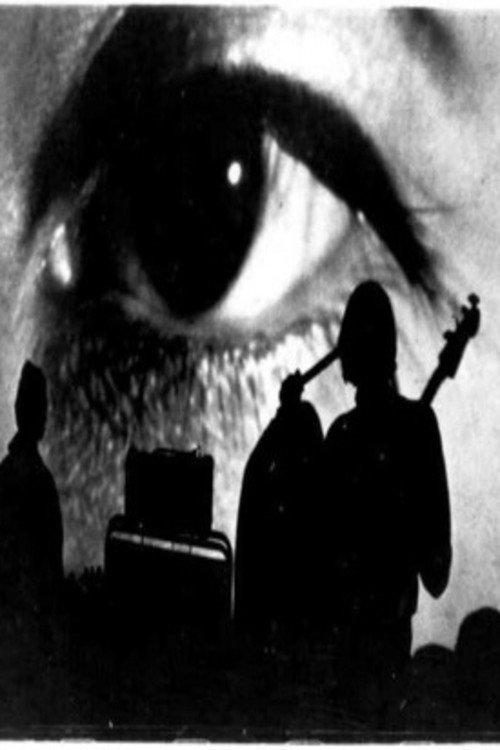 The Velvet Underground: Psychiatrist's Convention, NYC, 1966 1966 official movie poster
