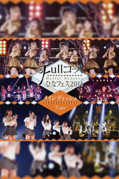 Hello! Project 2014 Hina Fes ~Full Course~ Main Dish wa ℃-ute Desu. 2014 official movie poster